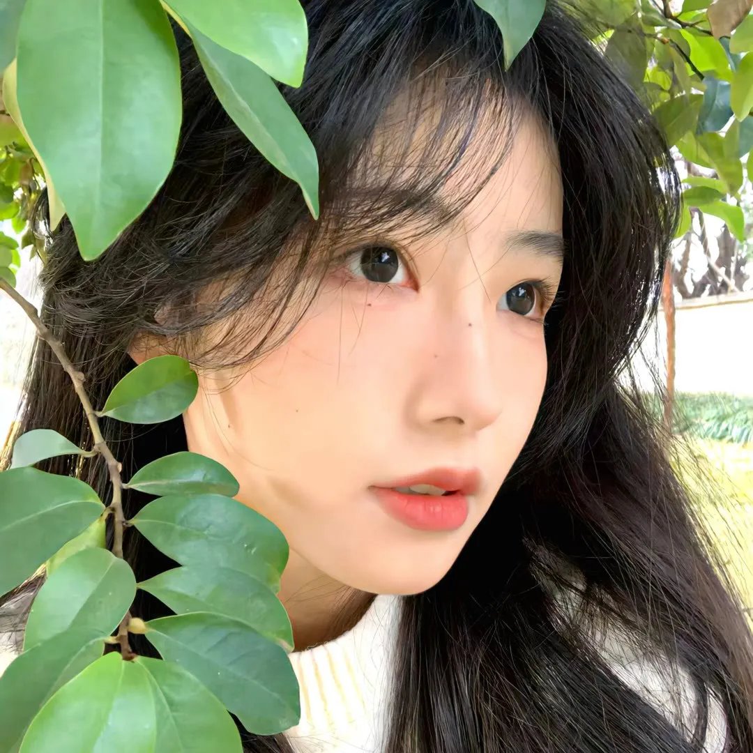 风带著我来