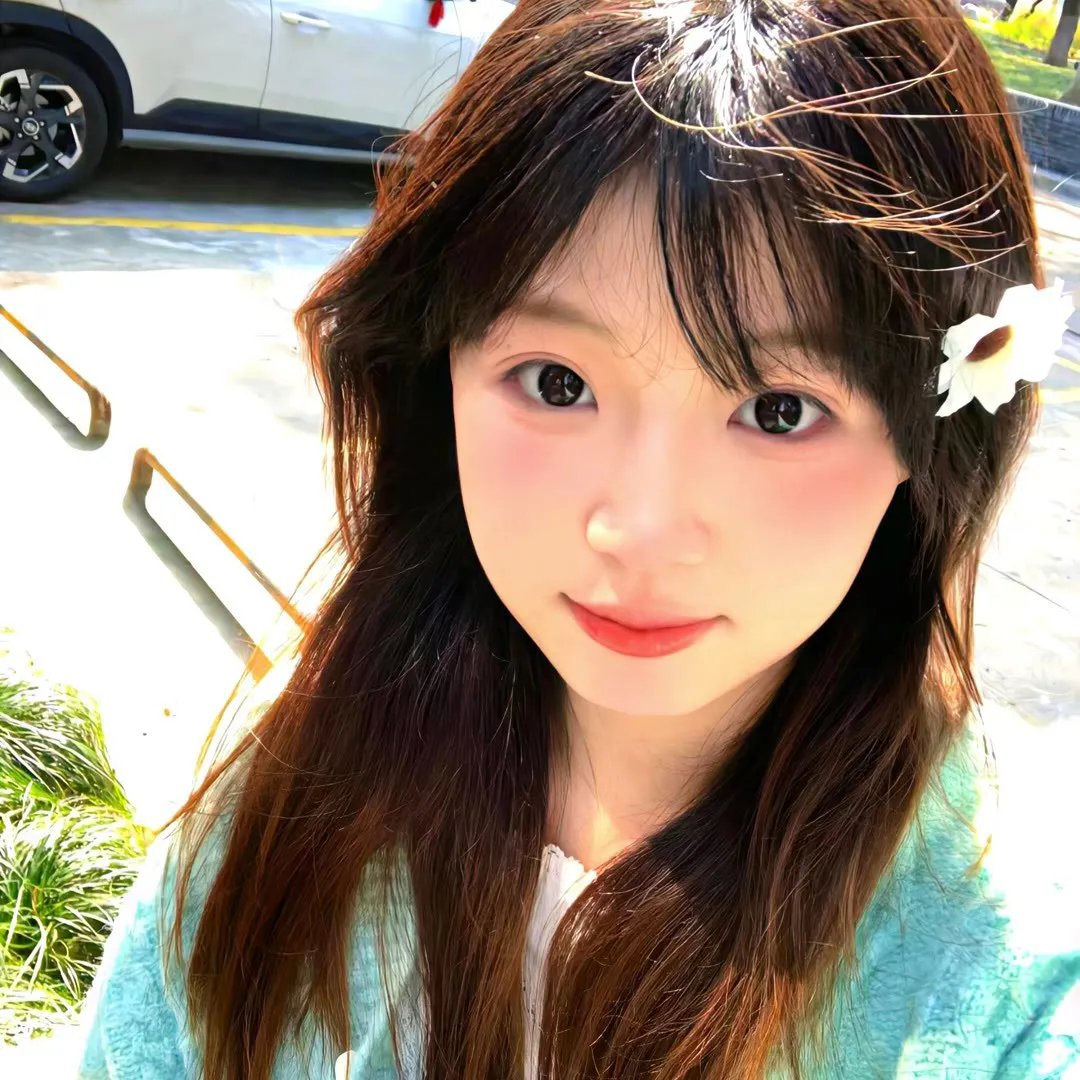 夏日假期玫瑰花